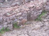 100_1694.jpg
